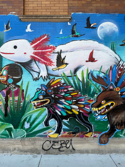 ミスターピンタムロ artwork